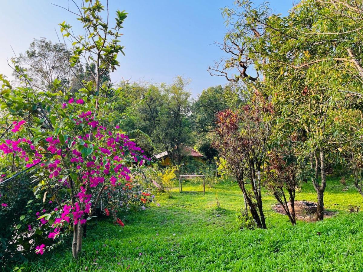 Coorg Daffodil Guesthouse ماديكيري المظهر الخارجي الصورة