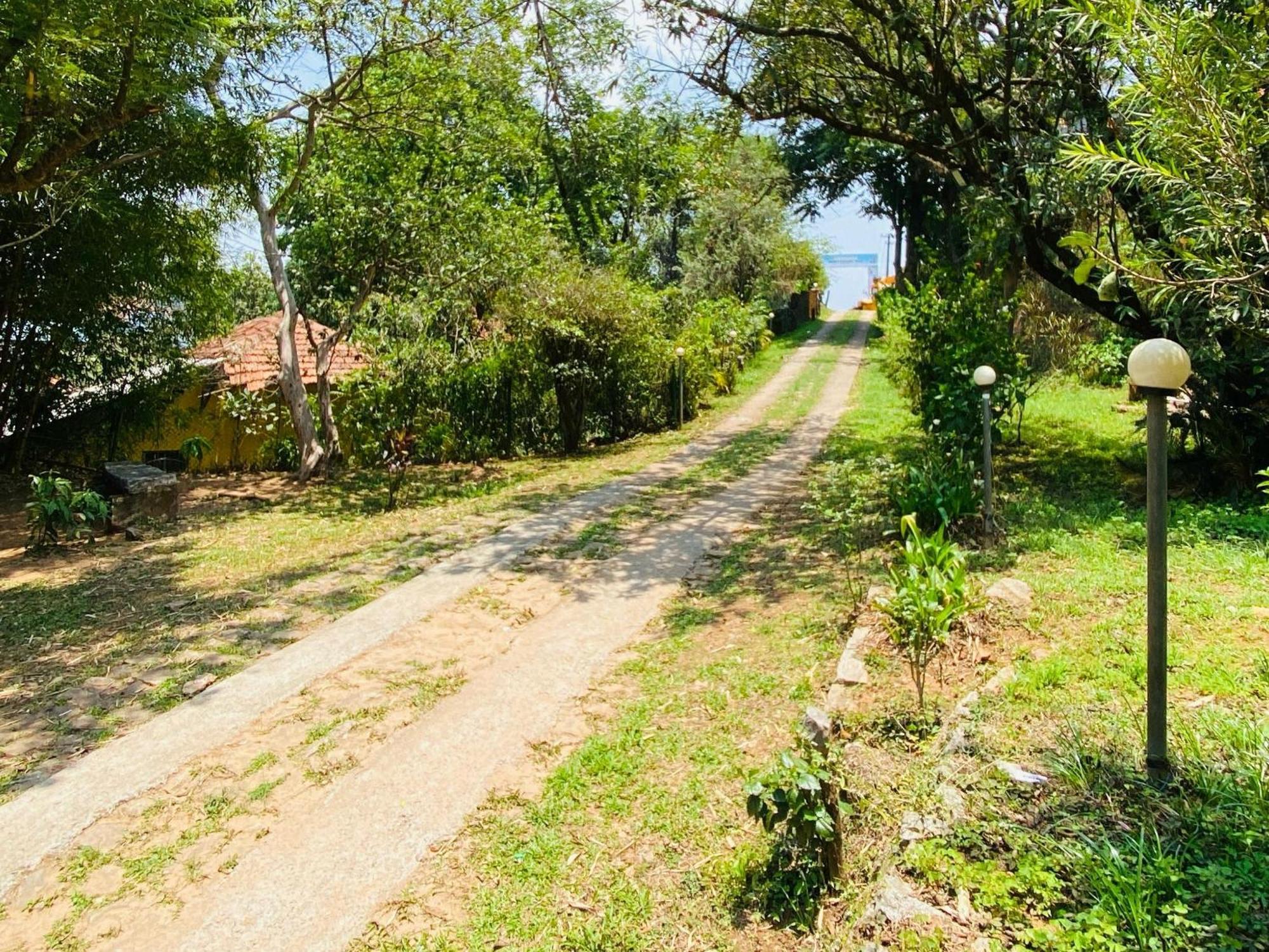 Coorg Daffodil Guesthouse ماديكيري المظهر الخارجي الصورة